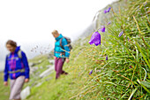 Zwei Wanderinnen gehen über eine Wiese, Alpe-Adria-Trail, Nockberge, Kärnten, Österreich