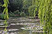 Pond with water lilies in Claude Monet's garden in Giverny, Eure. Normandy, France