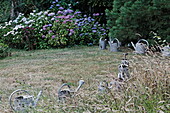 Watering cans in the jardins du Clos Saint-Francois, Saint-Victor-d'Epine, Eure, Normandy, France