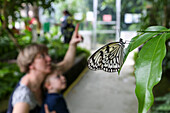 Mutter und Sohn im Schmetterlingshaus, Botanischer Garten, Leipzig, Saxony, Germany