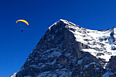 Paraglider over the north face of the Eiger mountain, Grindelwald Ski resort, Swiss Alps, Jungfrau - Aletsch, Bernese Oberland, Switzerland, Europe