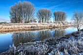 Hoare frost winter scene, river Welland, Peakirk village, Cambridgeshire, England, Britain, UK