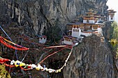 Bhutan (kingdom of), Paro county, Taktshang (the tiger den), monastery hanging spectacularly on a cliff, a most famous pilgrimage place since it was founded during the VIII th century by the Grreat Lama from Tibet Guru Rinpoche Padmasambhava. It can be ac
