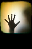 silhouetted hand