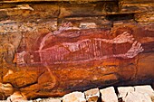 Australia, Western Australia, Wyndham, aboriginal art site at an overhanging cliff near the King River Road  Rock painting of Wandina spirit ancestor with natural ochre