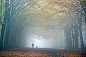 Dog Walker in Autumn fog October Norfolk UK