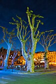 France, Corsica, Haute-Corse Department, La Balagne Region, Ile Rousse, Place Paoli, trees, dusk