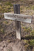 USA, Kansas, Dodge City, Boot Hill Museum, Boot Hill Cemetery grave markers