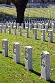 USA, Arkansas, Little Rock, Little Rock National Cemetery, soldiers´ gravestones
