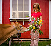 Girl Feeding her Flowers to Calf
