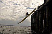Kayaker Dropping off Pier, Sidney, BC