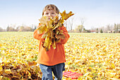 Young Boy Playing in Autumn Leaves, Aurora, Ontario