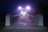 Assiniboine Park Footbridge crossing Assiniboine River on foggy fall morning, Winnipeg, Manitoba