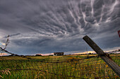 Mammatus clouds over an abandoned farm north of Edmonton, Alberta