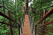 Treetops Adventure walkway at the Capilano Suspension Bridge, Vancouver, British Columbia