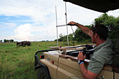 Republic of Botswana, The Okavango Delta, Abu Camp - Elephant Safari camp in Botswana, Reintroduction of elephants into the wild, Radio tracking performed with a collar worn by the elephant and a transmitter and antennae used by the keeper