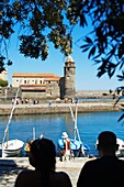 France, Lanquedoc Roussillon, Collioure, the marina port
