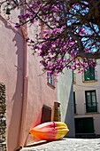 France, Lanquedoc Roussillon, Collioure, Canoe in the street