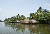 Republic of India, Kerala State, Hotel Boat, Coconut trees