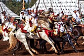 Morocco, Fantasia, Near Rabat, Men On Horseback With Rifles