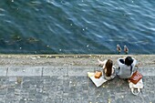 France, Paris, Women at the edge of the Seine