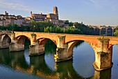 Cathedral Sainte-Cecile and old bridge in Albi, France