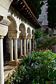 Cloisters of Saint Salvi, Albi, France