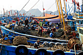 Fishing boats at Cat Ba harbor, Cat Ba Island, Halong Bay, North Vietnam, South East Asia, Asia