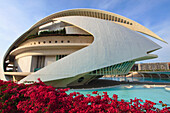 Spain, Valencia, City of Arts and Sciences, Palau de les Arts