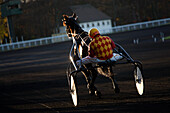 France. Paris. Vincennes. Hippodrome de Vincennes. Horse trotting to heat. Horse : Succes d'Ar. Jockey: Mr. Seoane-Gil.
