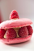 France, Paris, Pastry cooking, Close up of a raspberry macaroon