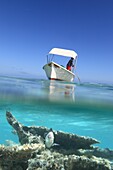 Indian ocean, Mauritius, Man on a boat and view of a coral reef with a tropical fish