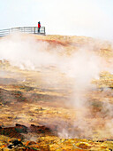 Iceland, Western Region, Gunnhuver Geothermal Energy Plant, Sources