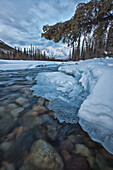Ice forms along the wheaton river in winter, whitehorse yukon canada