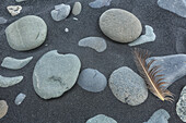 Rocks and a feather lay in volcanic sand, iceland