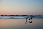 Girl And Afghan Dog Playing In The Beach Of Deba, Guipuzcoa, Basque Country, Spain
