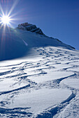 Downhill tracks in powder snow, back-country skiing, Birnhorn, Leoganger Steinberge range, Salzburg, Austria
