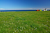 Wiese mit bunten Häusern im Hintergrund, John o' Groats, Küste von Duncansby, Duncansby Head, Highland, Schottland, Großbritannien, Vereinigtes Königreich