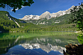 Lago Tovel mit Brentagruppe, Lago Tovel, Brentagruppe, Brenta, Dolomiten, UNESCO Weltnaturerbe Dolomiten, Trentino, Italien