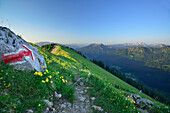 Roter Pfeil weist auf Weg, Blick auf Schinder und Guffert, Blick von der Bodenschneid, Bodenschneid, Spitzing, Bayerische Alpen, Oberbayern, Bayern, Deutschland