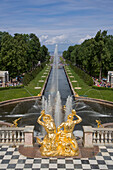 Die Große Kaskade vor dem Palast von Schloss Peterhof, nahe Sankt Petersburg, Russland, Europa