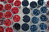 Berries for sale at a market stall, Moscow, Russia, Europe