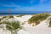 Dunes along the beach, Spiekeroog Island, National Park, North Sea, East Frisian Islands, East Frisia, Lower Saxony, Germany, Europe