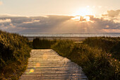 Sunset, Dunes with grass, Spiekeroog Island, National Park, North Sea, East Frisian Islands, East Frisia, Lower Saxony, Germany, Europe