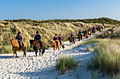 Horse riding in the dunes of Spiekeroog Island, Nationalpark, North Sea, East Frisian Islands, East Frisia, Lower Saxony, Germany, Europe