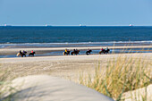 Horseriding on the beach, Spiekeroog Island, Nationalpark, North Sea, East Frisian Islands, East Frisia, Lower Saxony, Germany, Europe