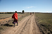 Samburu Krieger mit Kamel, Maralal, Samburu County, Kenia