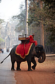 Elephant near Northern Gate, Angkor Thom, Angkor Archaeological Park, near Siem Reap, Cambodia