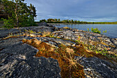 Shore of lake Onega, The Republic of Karelia, Russia