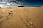 Eine Person geht der Dünen entlang, Die Thurra Sanddünen, Croajingolong Nationalpark, Victoria, Australien